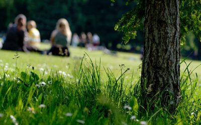 College Small Groups