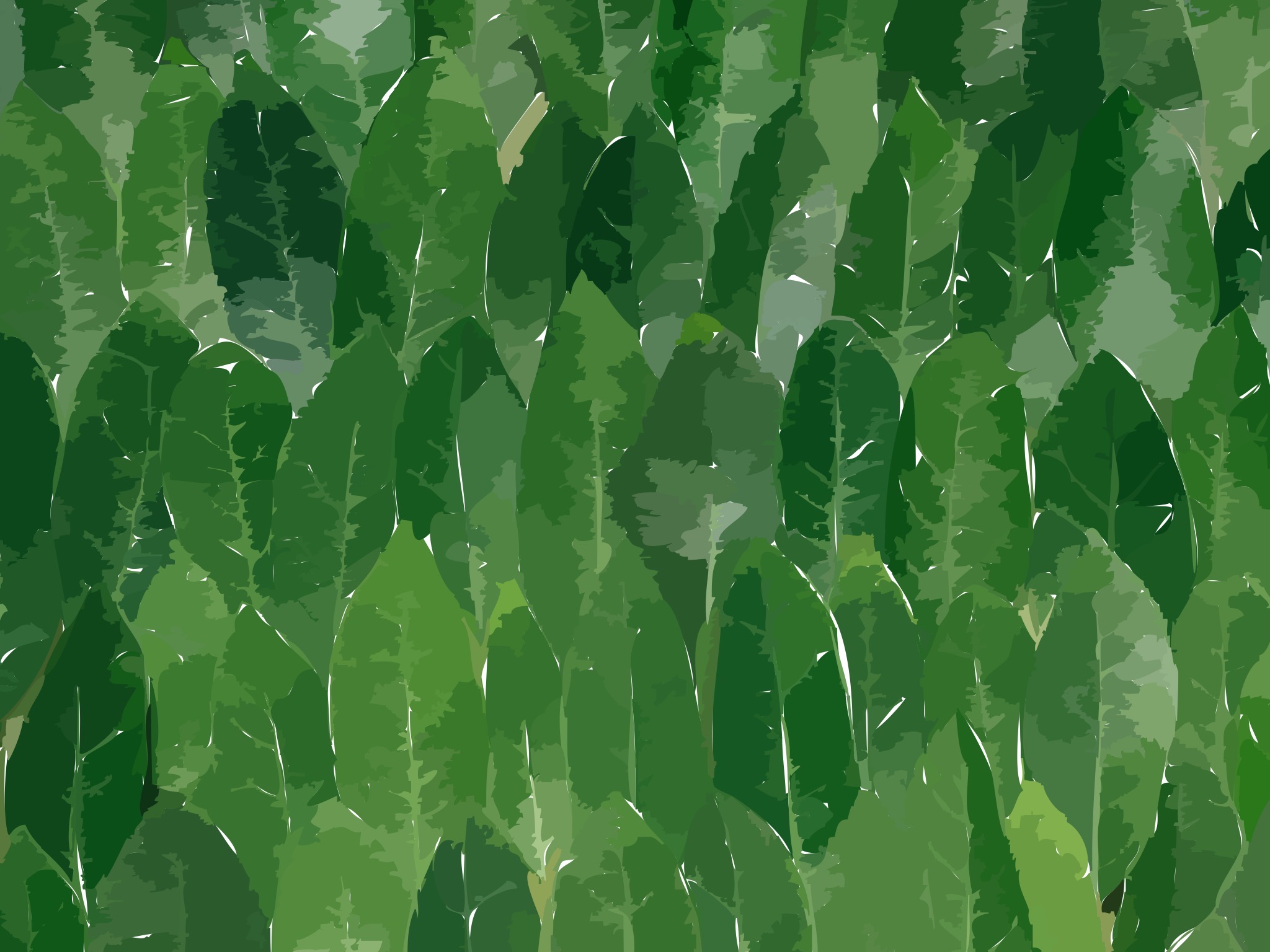Leaves A group of leaves