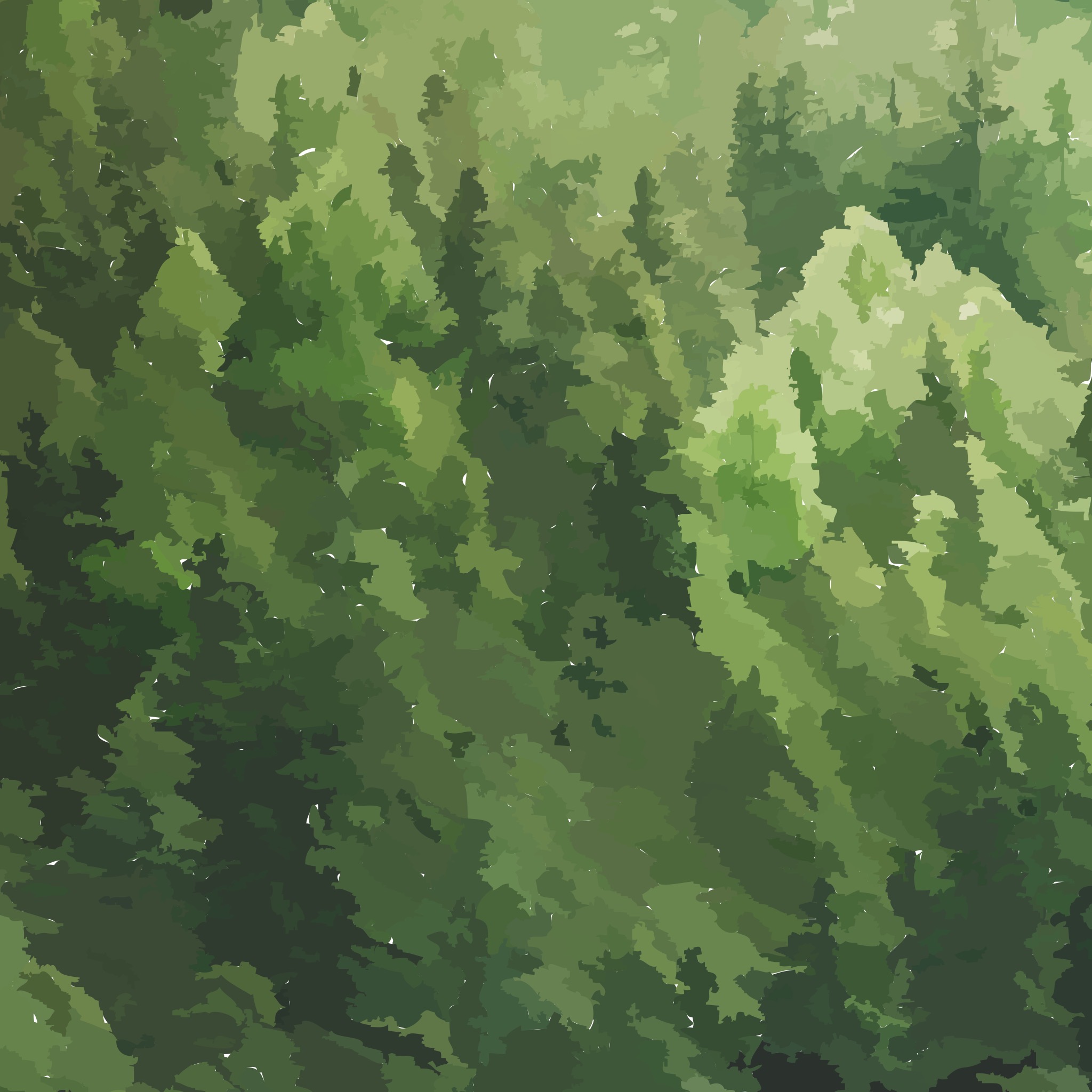 Pines